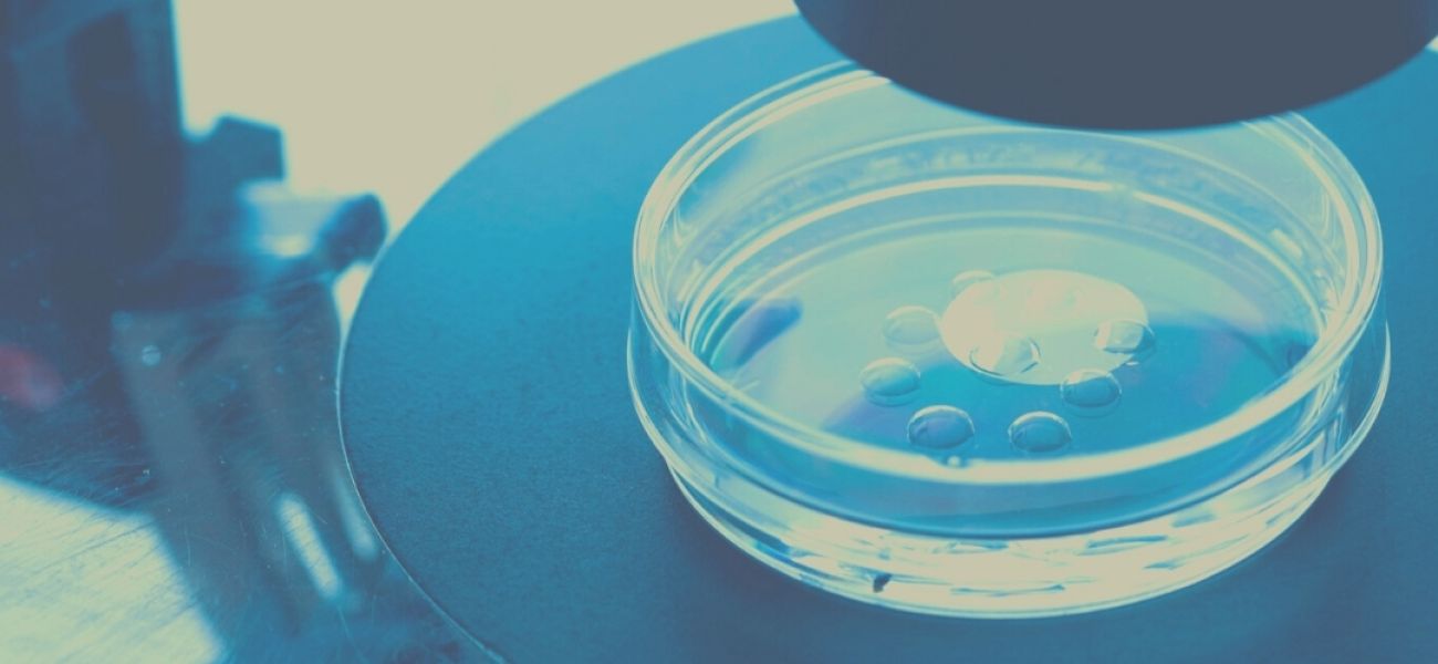 Fertilização in vitro
