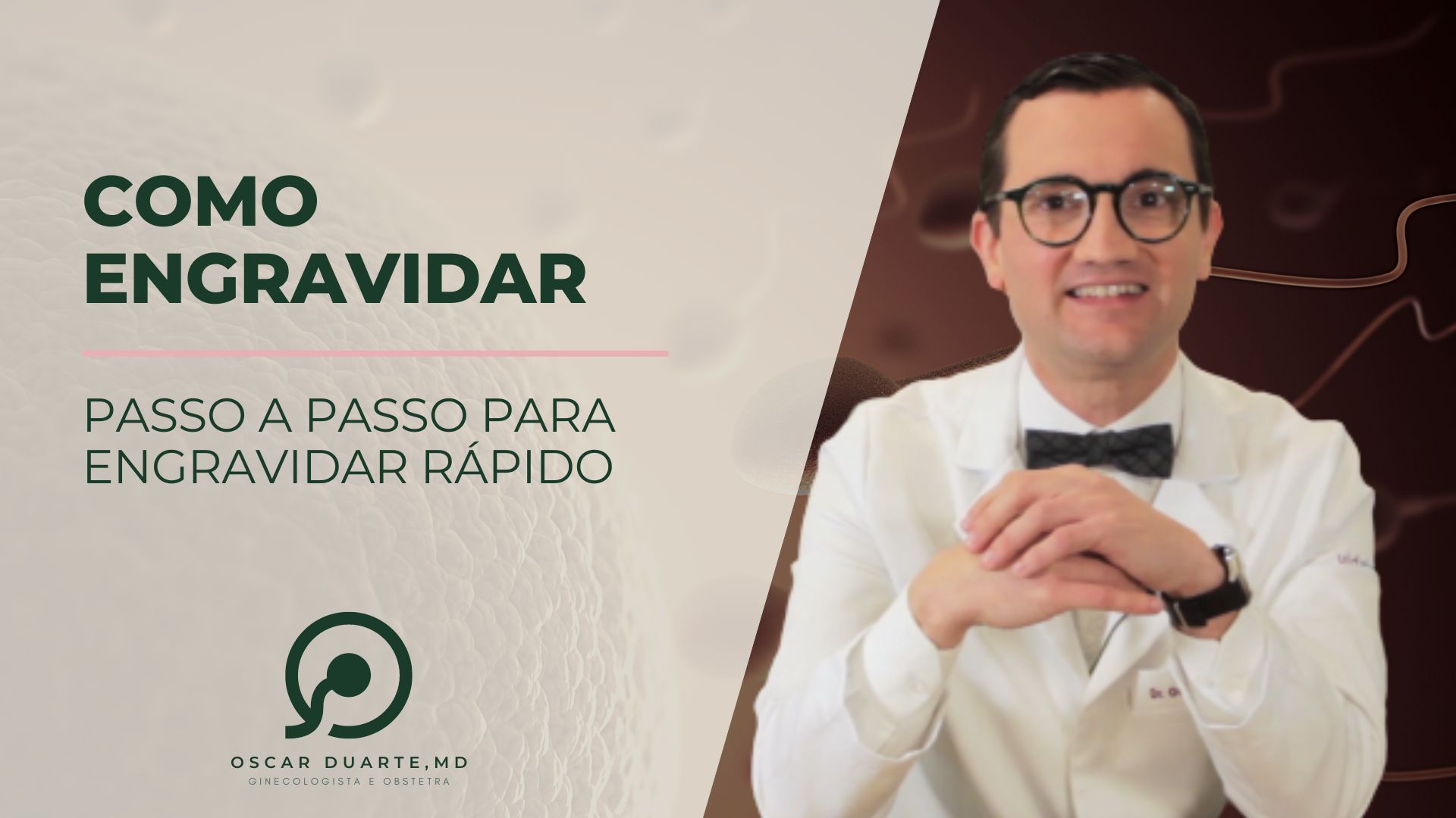 Cómo engravidar rápido