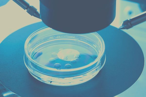 Fertilização in vitro