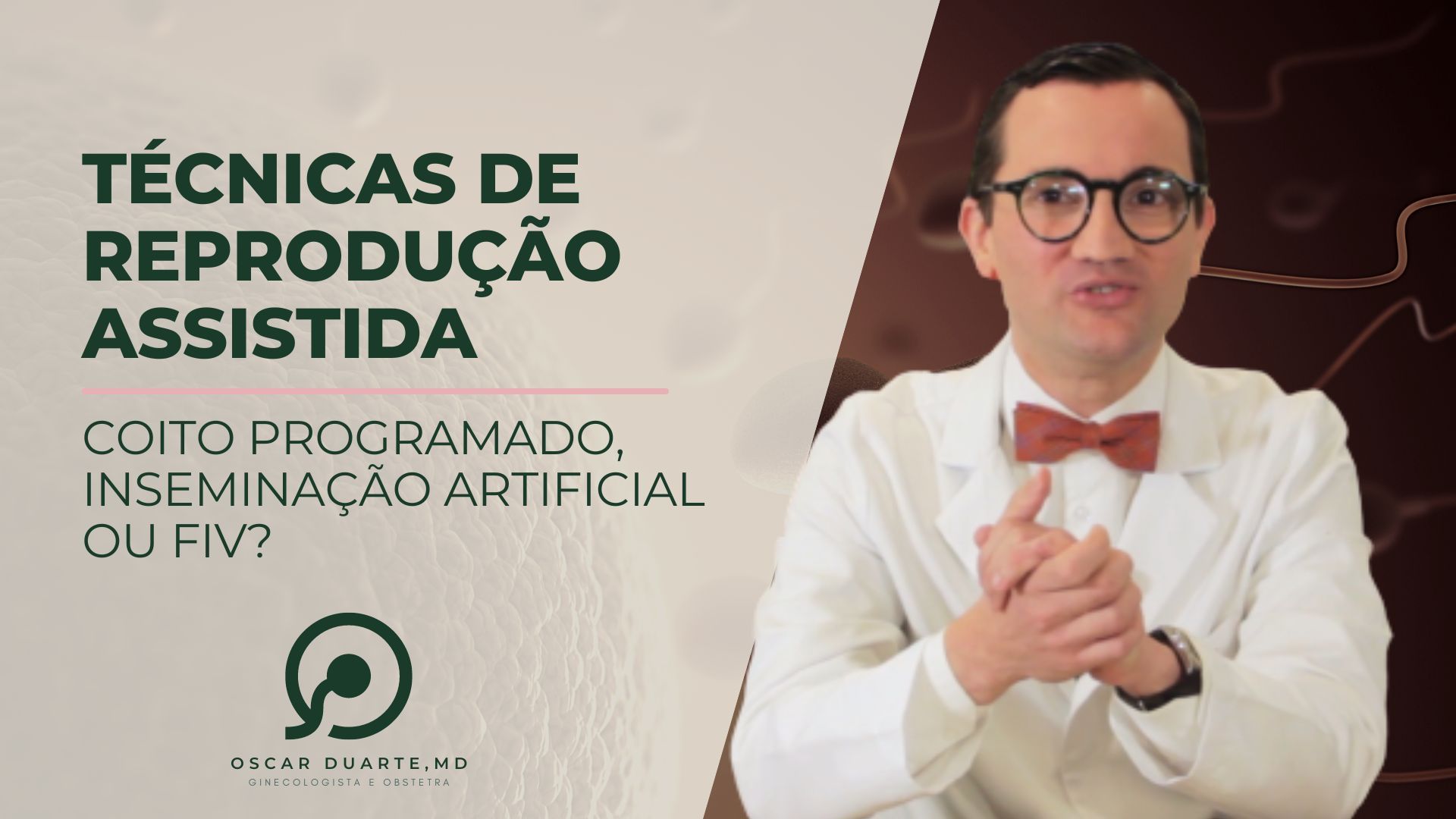 Técnicas de Reprodução Assistida