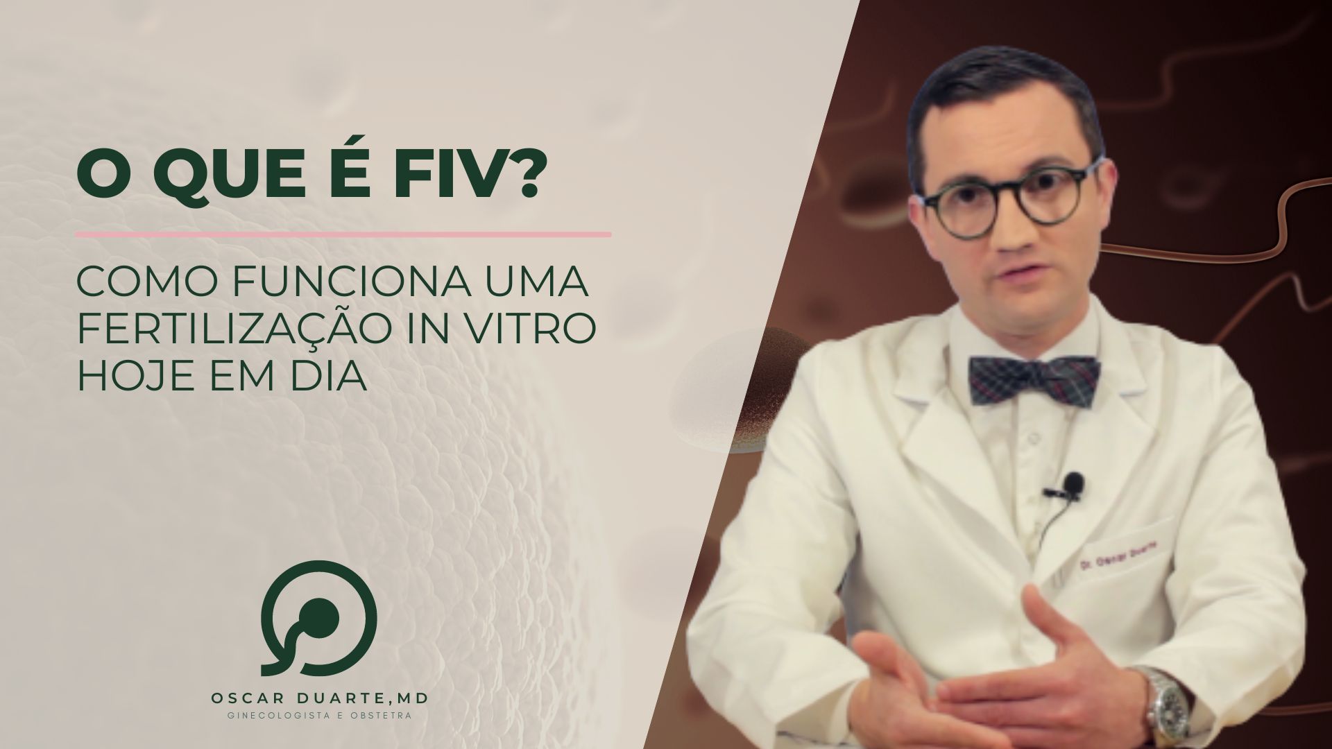 O que é FIV?