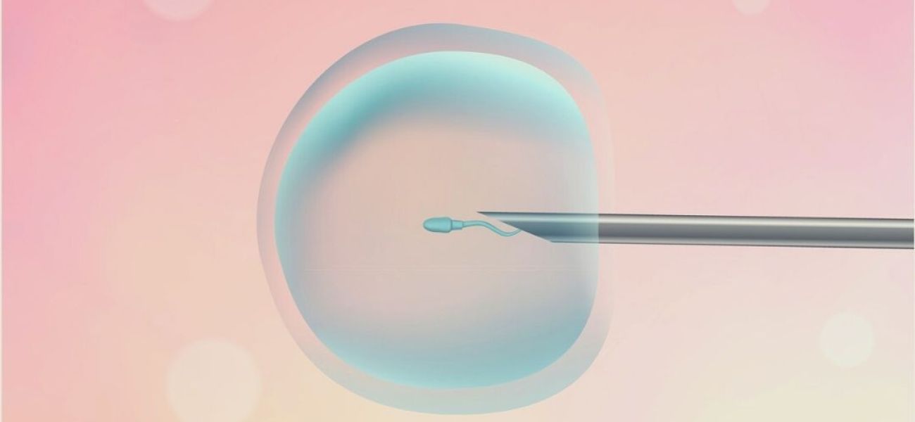 Fertilização In Vitro