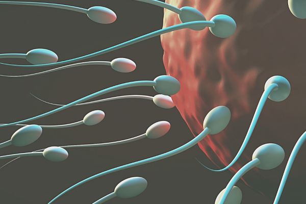 Inseminação artificial