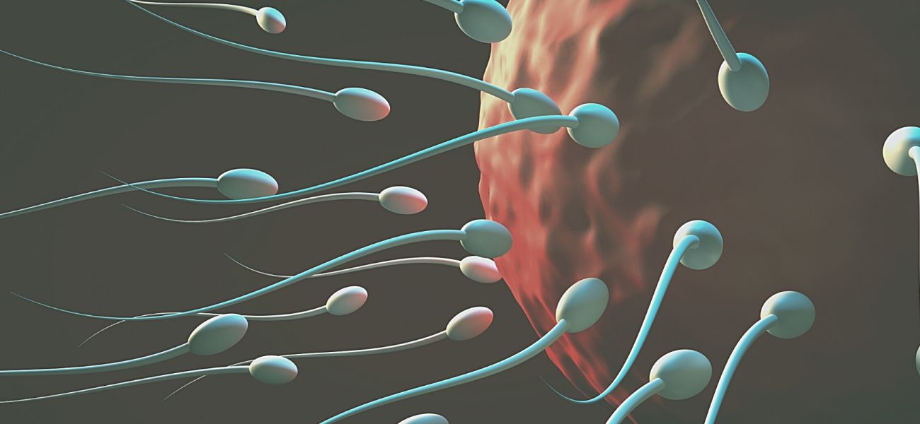 Inseminação artificial